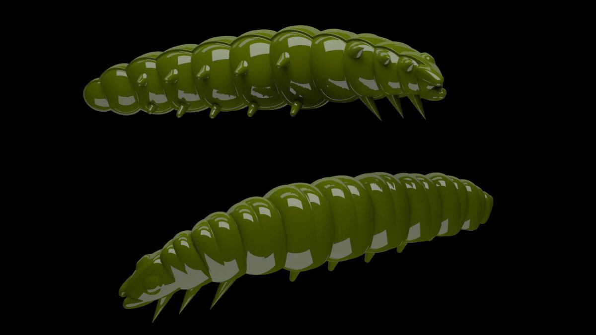 Larva 031 OLIVE-jpg Larva 031 OLIVE.jpg